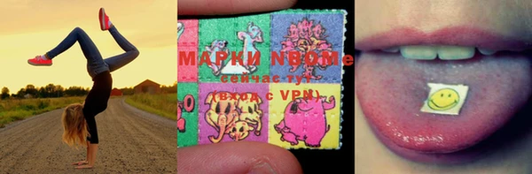 твердый Михайлов