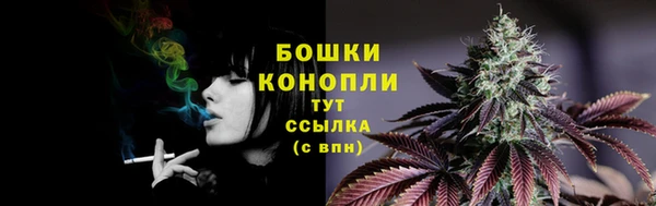твердый Михайлов