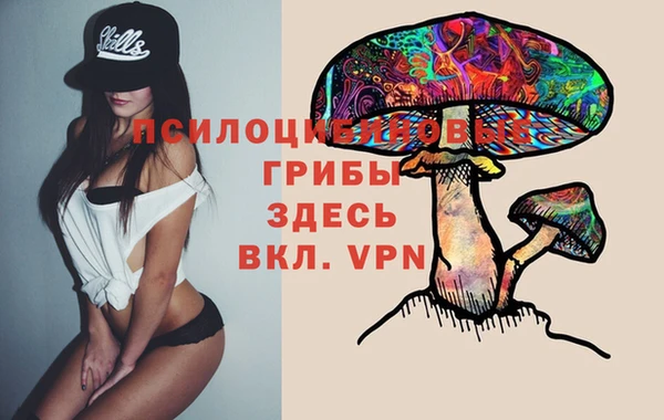 твердый Михайлов