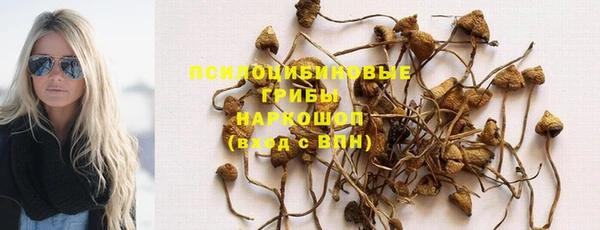 мяу мяу мука Мегион